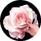 鲜花消消消乐2026官方新版图标