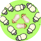 救救小羊游戏2026官方新版图标