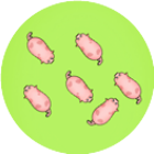 拯救小猪猪2026官方新版图标