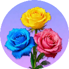 解压拿第一2026官方新版图标