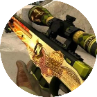 枪战荒野英雄2026官方新版图标