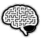 脑力训练器2026官方新版图标