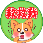 救救卡皮巴拉2026官方新版图标