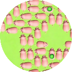 挪猪乐消消2026官方新版图标