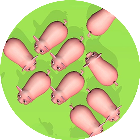 挪了头猪大冲关2026官方新版图标