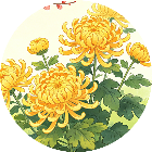 超级消花朵2026官方新版图标