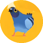 疯狂的鸽子表情2026官方新版图标