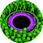 看给你急的2026官方新版图标