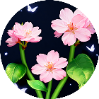 消除花朵好好玩2026官方新版图标