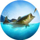 没事钓钓鱼2026官方新版图标