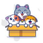 寻找100只猫猫2026官方新版图标