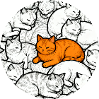 全民寻找猫猫2026官方新版图标