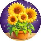 天天消花朵2026官方新版图标