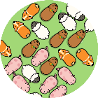 赶猪游戏2026官方新版图标