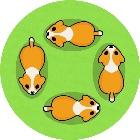 超级消动物2026官方新版图标