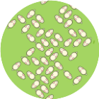 全能小玩家2026官方新版图标