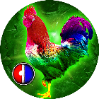 迷你战机2026官方新版图标