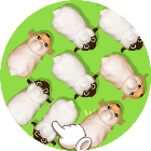 飞猪小游戏