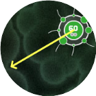 细菌大战2026官方新版图标