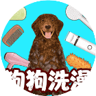 解压闲玩挑战 图标