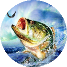 钓鱼游戏冠军2026官方新版图标