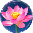 消消花儿2026官方新版图标