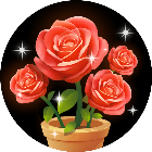 花儿消不停2026官方新版图标