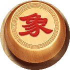 象棋双人2026官方新版图标